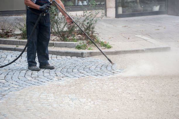 Best Gutter Cleaning  in Lockport, NY